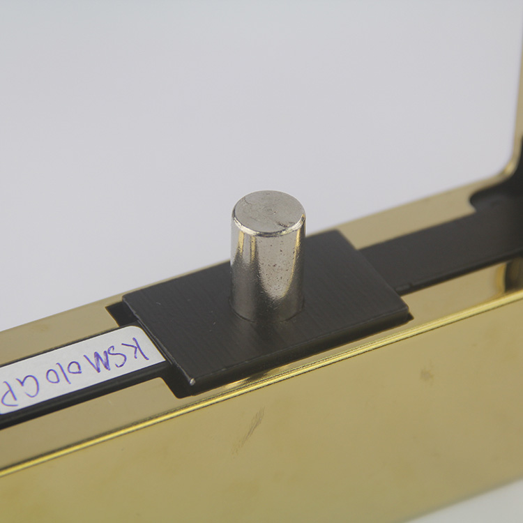 Golden Stainless Steel Glass Hardware Shower Door Top Pivot Hinge