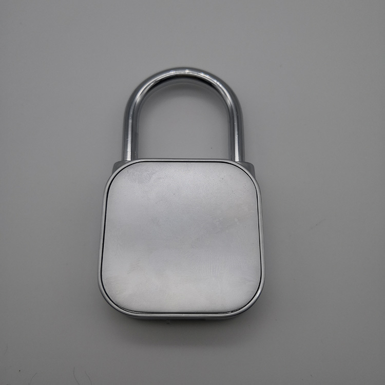 eLinkSmart Fingerprint Padlock Gym Locker Padlock Keyless USB Charging  (Gray)